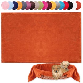 Bestlivings Pet Blanket Cuddly Soft Available in Many (80 x 120 cm / Terracotta - Ochre)