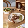 Famiware Nebula Plates and Bowls Sets, 12 Pieces Dinnerware Sets,