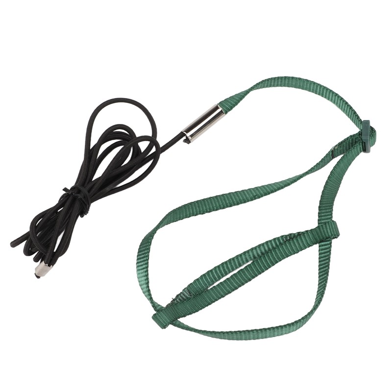 Bird Harness Leash Adjustable Elastic Flying Training Parrot Traction Rope