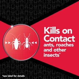 Raid Max Ant and Roach Spray (14.5 OZ,Pack - 1)