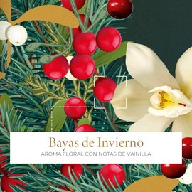 Yves Rocher Duo de Crema de manos Bayas De Invierno - Edición limitada, regalo de Navidad y Año Nuevo, aroma sutil a vainilla espumosa, 1.0 fl oz./1 o