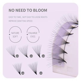 ANNAFRIS Premade Fans Eyelash Extensions 16D Thickness 0.05 D Curl 8-15mm Mix Short Stem Pointy Base Premade Volume Lash Extensions C D Curl(16D-D-0.05,8-15mm Mix)
