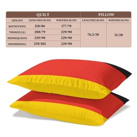 Delerain Comforter Cover Set Twin Size, Germany Flag 3-Piece Bedding Set for Boys Girls Teens Modern Soft Microfiber Bedroom Set Room Decor, 1 Duvet Cover + 2 Pillowcases