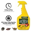 Harris Asian Lady Beetle and Box Elder Killer, Liquid Spray