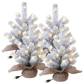 infactory Mini Christmas Tree with USB: Set of 4 Decorative Christmas Tree with Snow, 20 LEDs, 26 cm, USB Operated (Illuminated Decorative Christmas Tree, LED Light)