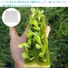Mirhua Sponge, Soil Free Cultivation Pot, Vegetable Planting Sponge, Medium