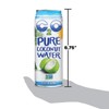 C2O+Pure+Coconut+Water+%7c+Plant+Based+%7c+Non-GMO+%7c+No+Added+Sugar+%7c+Essential+Electrolytes+%7c+17.5+FL+OZ+(Pack+of+24)