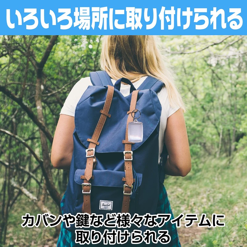 Fairy Tail Photo Keychain, Hamepachi Photo Keychain, Photo Frame, Photo