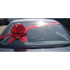 Hampabox GIANT CAR BOW (30cm diameter) + 3 METRES of