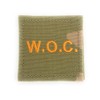 Army Warrant Officer Candidate WOC OCP Rank With hook- Gold