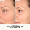 The Barrier Tratamiento bioactivo