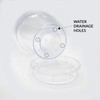 TERAPLAST Porto Clear Orchid Vase with 4 Drainage Holes Vase