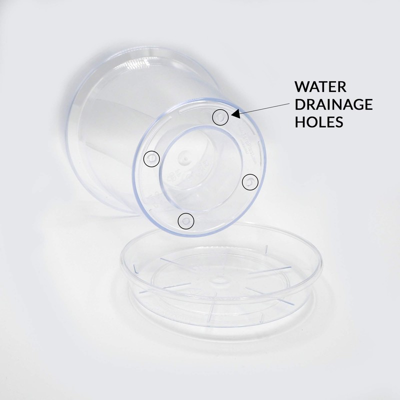 TERAPLAST Porto Clear Orchid Vase with 4 Drainage Holes Vase