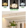 Flyercatch F15T12-CW Cool White 15 Watt Fluorescent Light Bulbs 4100K