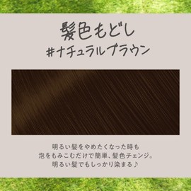 Liese Bubble Color Hair Color Restoration Natural Brown 4.3 fl oz (115 ml)