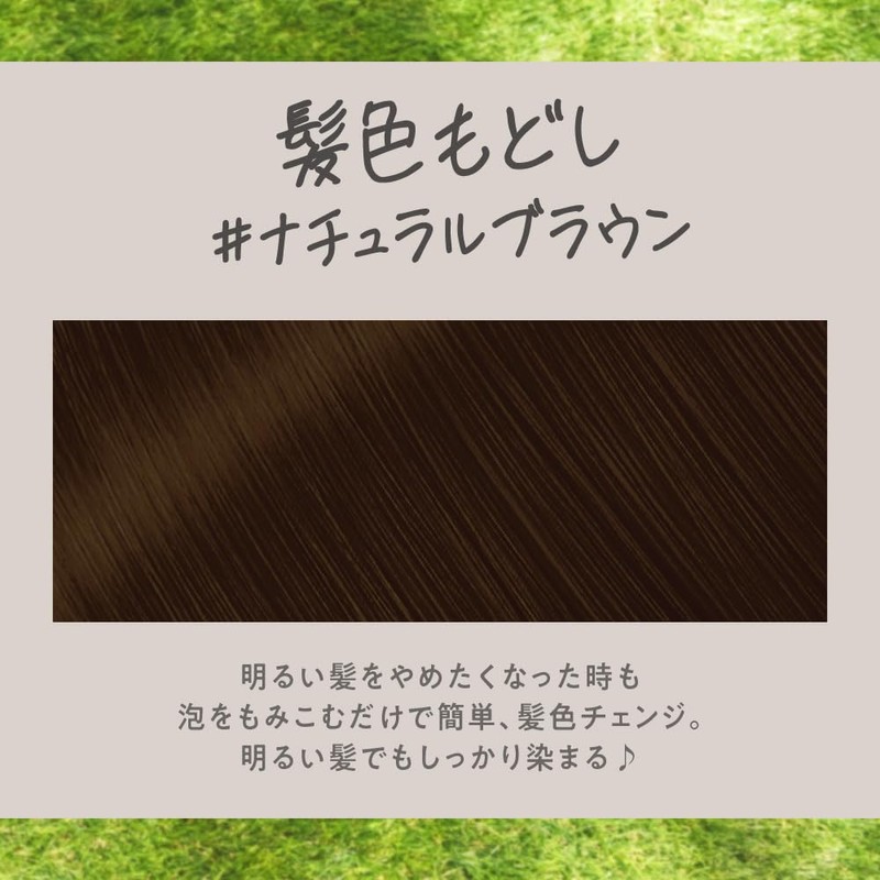 Liese Bubble Color Hair Color Restoration Natural Brown 4.3 fl