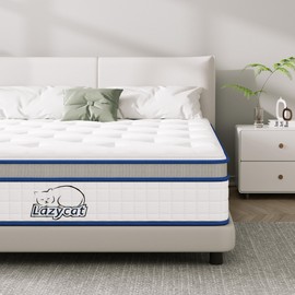 Queen Mattress, 10 Inch Queen Size Hybrid Mattress in a Box with Memory Foam and Individual Pocket Springs, Extra Lumbar & Shoulder Support, Pain Relief Fiberglass-Free