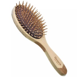 Giorgio Eco Friendly Wooden Bristle Hairbrush - Small Detangling Brush - 9.25 Inches