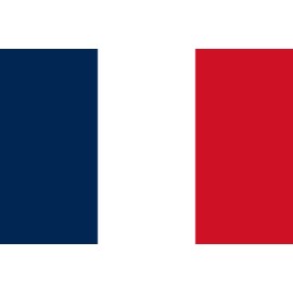 Premium Flag - 90 x 150 cm / 150 cm / 90 cm - Made of Polyester with Golden Eyelets - Durable and Weatherproof (France)