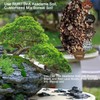 Rurtsva Akadama Bonsai Soil 2lbs Horticultural Potting Soil Amendment Cacti