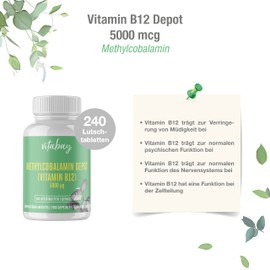 Vitabay Vitamin B12 5000mcg - 240 Vegan & Sublingual Vitamin B12 Tablets - Time-Release Lozenges of Methylcobalamin Active Form with Mixed Berries Flavour - Laboratory Tested