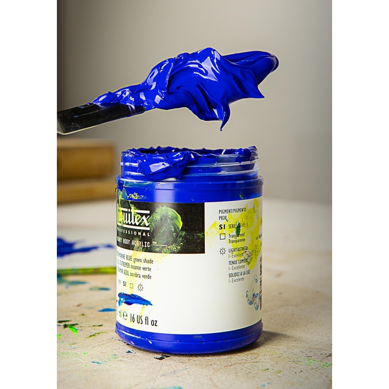 Liquitex Professional Heavy Body Acrylic Paint, 12 x 22ml (0.74-oz),