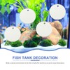 ULTECHNOVO 4pcs Floating Double-Sided Betta Fish Training Mirrors Aquarium Accessories