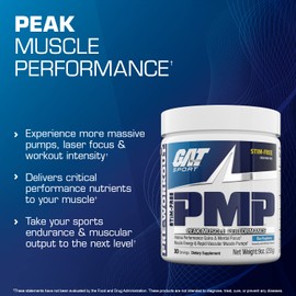 GAT Sport PMP (Peak Muscle Performance), Pre-Workout, 30 Servings (Blue Raspberry (Stim-Free))
