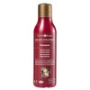 Color Fixation Restorative Shampoo Surya Nature, Inc 8.45 oz Liquid