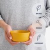 Sea to Summit Passage Bowl Small - Bowl Yellow