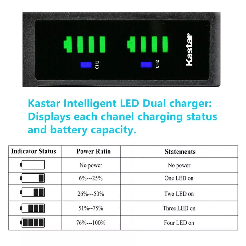 For GoPro LTD2 Charger & 4 battery for GoPro HERO2