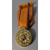 GOLD TXSG Miniature Texas State Guard Exemplary Service Medal -