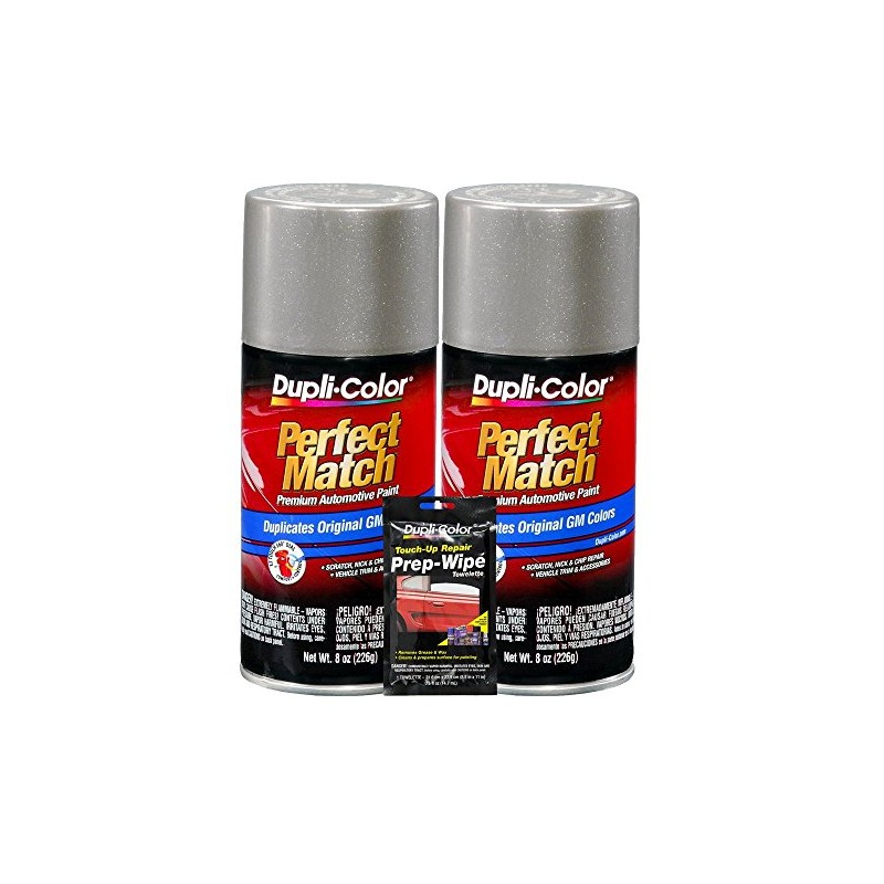 Dupli-Color Pewter Metallic Exact-Match Automotive Paint For GM Vehicles -