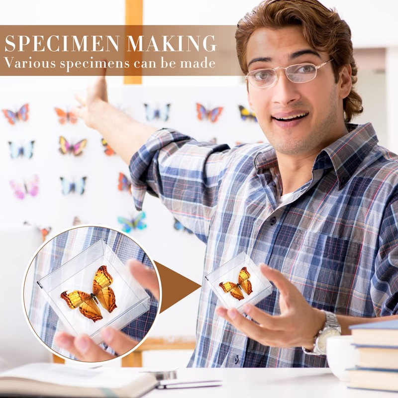 Taiyin 14 Pieces Insect Specimen Tools Kit Insect Display Case