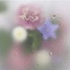 Wrapping Paper 20 Sheets Bouquet Packaging Paper Waterproof Paper Roll