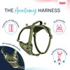 HALTI Anatomy Dog Harness with Handle - Provides Your Dog