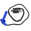 Aulavik Ignition Coil for Honda CRF450 CRF450X CRF450R 2002-2008 Replace