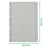 Esselte Leitz 332401 1–5 Cardboard A4, 5 sheets, grey