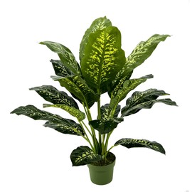 House of Silk Flowers Faux Floor Plant (Dieffenbachia)