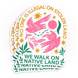 (3Pcs) No One Is Illegal On Stolen Land Stickers We Walk On Native Land No Human Is Illegal Immigrant Waterproof Vinyl Sticker for Laptop Water Bottle Tumbler Decal Birthday Gifts for Her Him 3 Inches