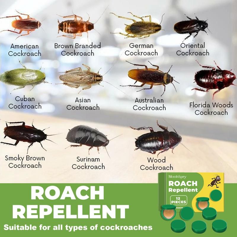 Indoor roach bait gel and trap, - 12 pieces, roach