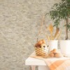 SUNWINGS 5-Sheet Peel and Stick Mosaic Natural 3D Stone Self