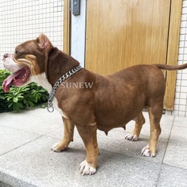 Adjustable Strong Lobster Clasps Dog Titan Collar Training Walking Metal Dog Duty Chew Proof for Medium Large Dogs American Pitbull German Shepherd