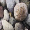 LB Stones Shower Curtain River Bed Gravel Rock Cobblestone Natural