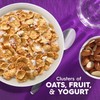 Kellogg's Special K Fruit and Yogurt Breakfast Cereal, Good Source