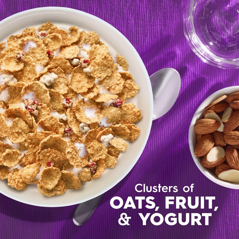 Kellogg's Special K Fruit and Yogurt Breakfast Cereal, Good Source