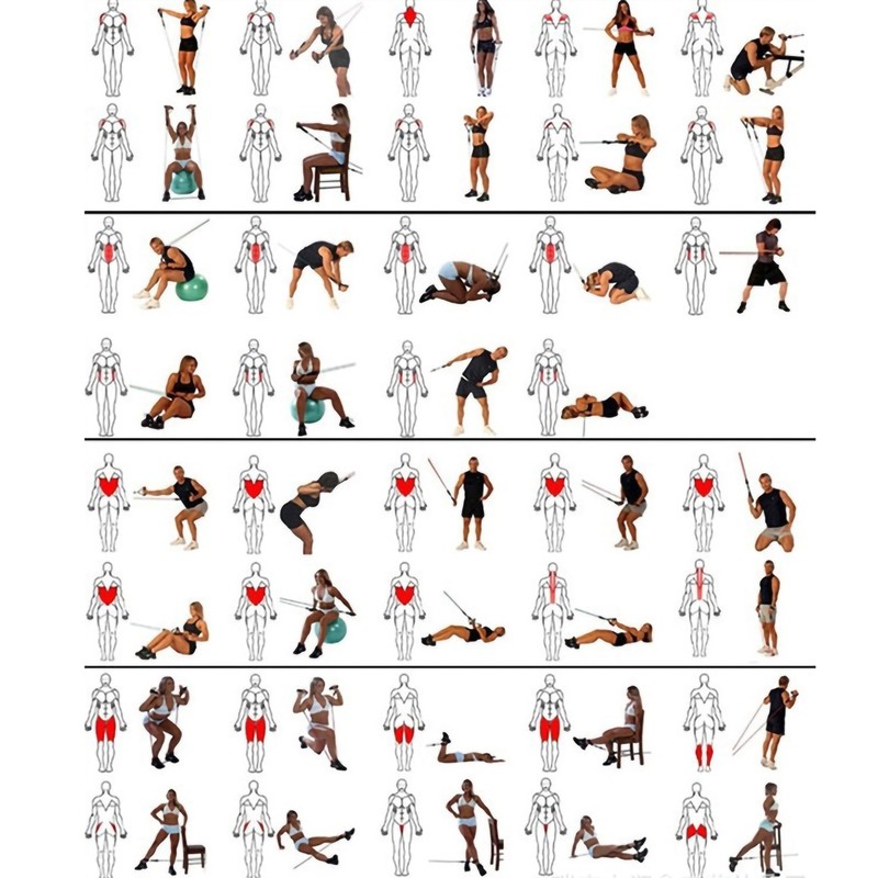 11pcs/set Latex Resistance Bands Multifunction Elastic Exercise Resistance Bands Expander