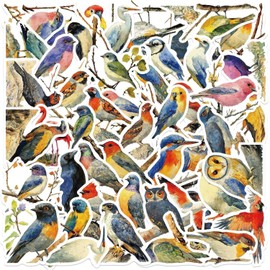 50 Packs Watercolor Birds Stickers Water Bottles Laptop Phone Motorcycle Computer Guitar Skateboard Hydroflasks Kawaii Bird Vinyl Sticker Waterproof Aesthetic Trendy Decals for Teens Girls Adults