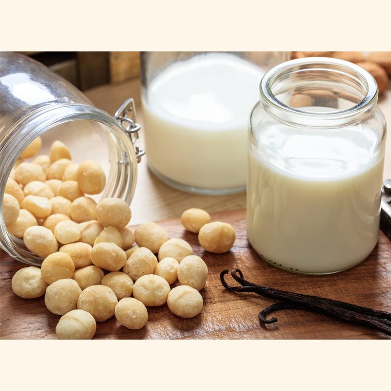 Nuez De Macadamia 500g Pelada Natural Frutos Secos