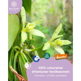 Baldini - Vanilla Extract BIO, 100% pure natural aroma of pure essential vanilla oil in organic alcohol, 5 ml